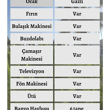 3 Odali Apartamento *